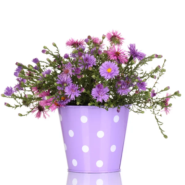 Beautiful bouquet of purple flowers in metal pot isolated on white — Stock Photo, Image