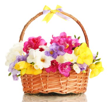 güzel sepeti, üzerinde beyaz izole Frezya buket