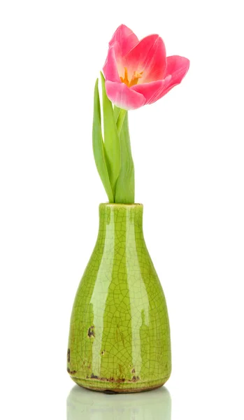 Pink tulip in bright vase, isolated on white — Stock Photo, Image