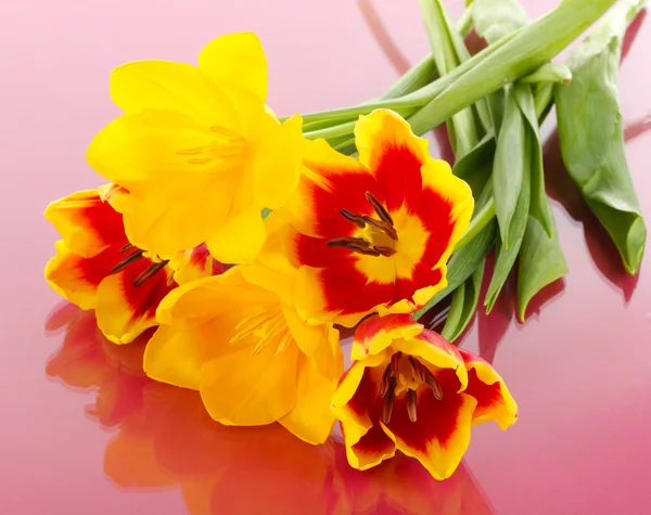 Beautiful tulips in bucket on pink background — Stock Photo, Image