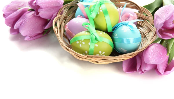 Bright easter eggs in basket and tulips, isolated on white