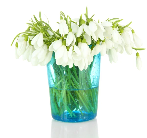 Bouquet of snowdrop flowers in glass vase, isolated on white — Stock Photo, Image