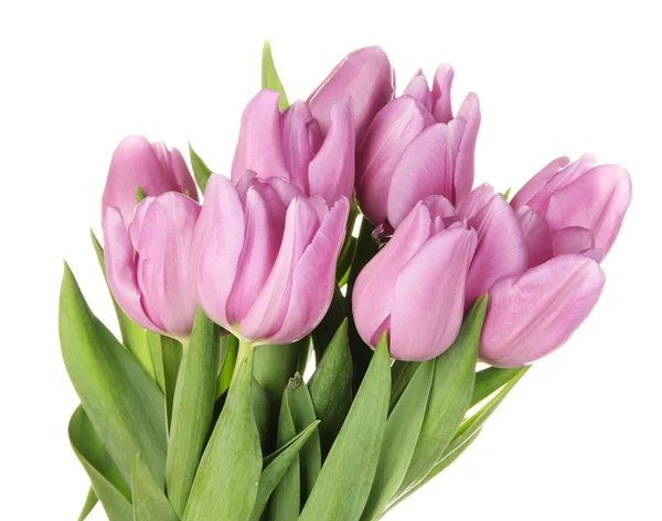 Schöner Strauß lila Tulpen, isoliert auf weiß — Stockfoto