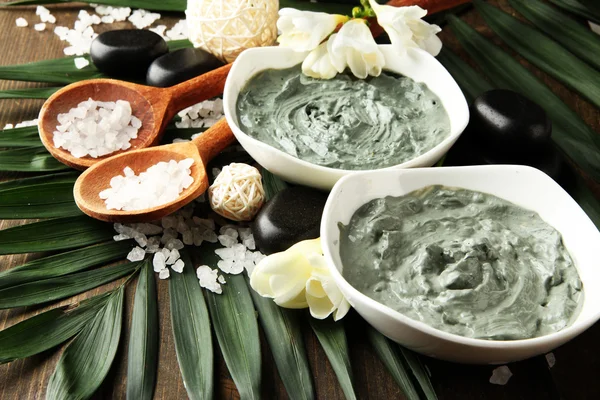 Composición con arcilla cosmética para tratamientos de spa, sobre fondo de hoja de palma — Foto de Stock