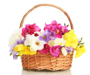 güzel sepeti, üzerinde beyaz izole Frezya buket