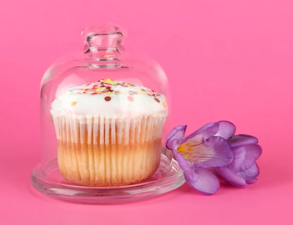 Cupcake em pires com tampa de vidro, em fundo de cor — Fotografia de Stock