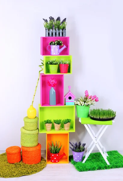 Colorful shelves with decorative elements and plants standing in room — Stock Photo, Image
