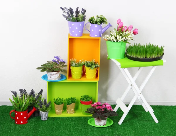 Belas prateleiras coloridas e mesa com elementos decorativos em pé na grama — Fotografia de Stock