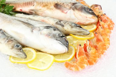 buz üstünde taze deniz ürünleri