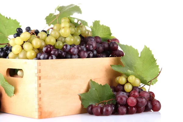 Assortment of ripe sweet grapes in wooden crate, isolated on whit — Stock Photo, Image