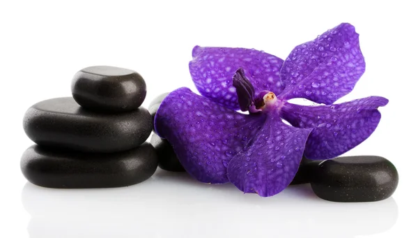 Piedras de spa y flor púrpura, aisladas en blanco — Foto de Stock