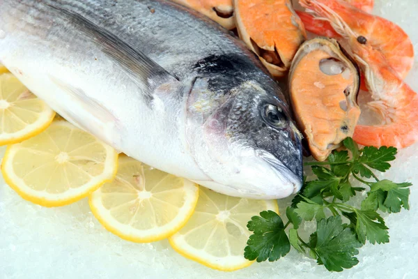 Fresh seafood on ice — Stock Photo, Image