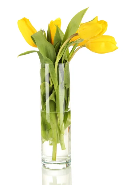 Gele tulpen in de vaas geïsoleerd op wit — Stockfoto