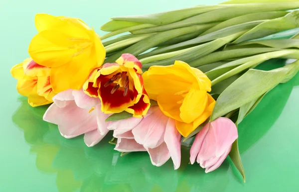 Bei tulipani in secchio su sfondo verde — Foto Stock