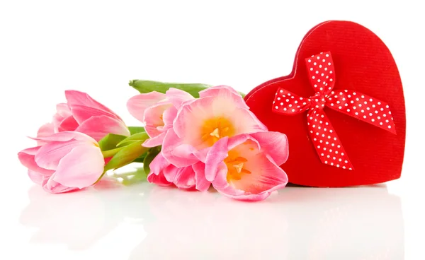 Розовые тюльпаны и подарочная коробка, изолированные на белом — стоковое фото
