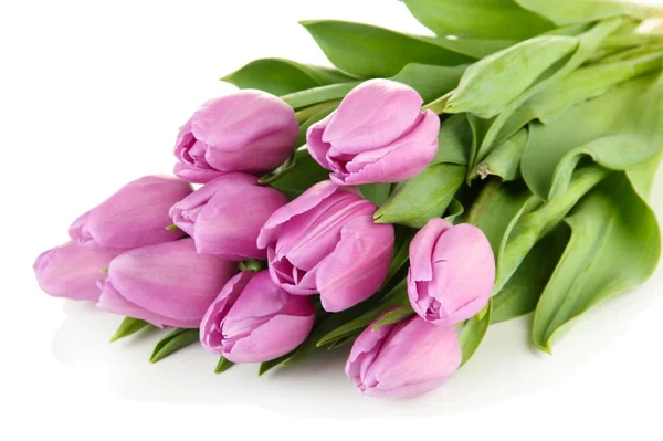 Beautiful bouquet of purple tulips, isolated on white — Stock Photo, Image