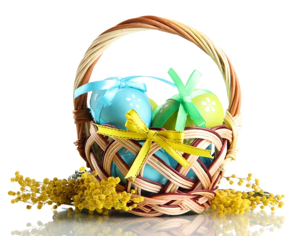 Velikonoční vejce v košíku a mimózy květy, izolované na bílém — Stock fotografie