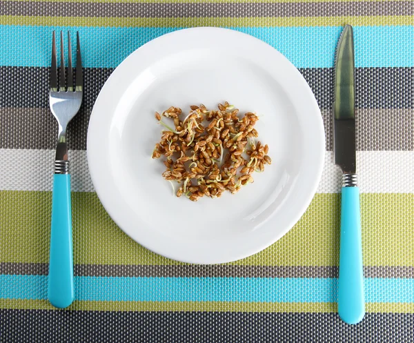 Wheat germs on plate, close up — Stock Photo, Image