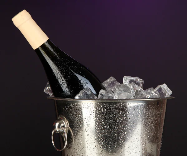 Flaska vin i is hink på darck lila bakgrund — Stockfoto