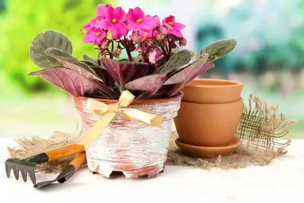 Lyse helgenhjelpemidler og hageredskaper med naturlig bakgrunn – stockfoto