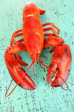 ahşap masa yakın çekim üzerinde kırmızı ıstakoz