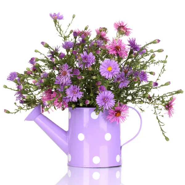 白で隔離される水まき缶で紫色の花の美しい花束 — ストック写真
