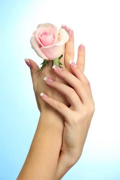 Bella donna mani con rosa, su sfondo blu — Foto Stock