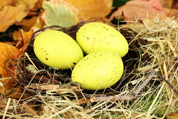 Huevos de Pascua escondidos en nido de paja natural — Foto de Stock