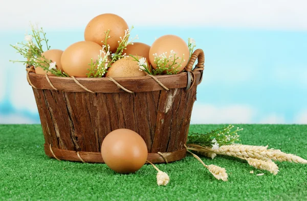 Ovos em cesta na grama no fundo natural azul — Fotografia de Stock