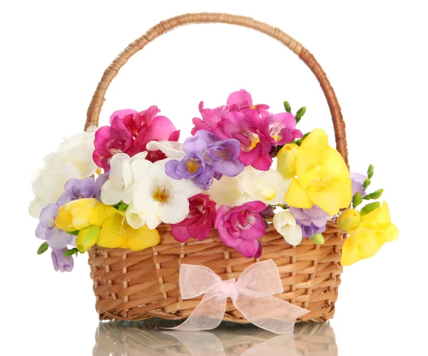 Beautiful bouquet of freesias in basket, isolated on white — Stock Photo, Image