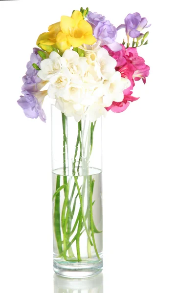 Beautiful bouquet of freesias in transparent vase, isolated on white — Stock Photo, Image