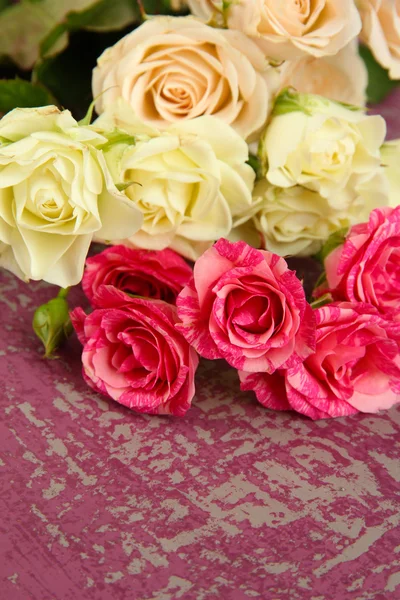 美丽的七彩玫瑰特写，颜色背景上 — 图库照片