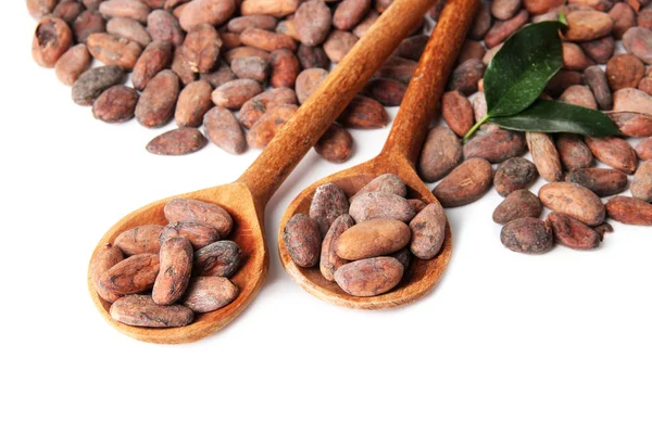 Какао-бобы в деревянных ложках с листьями, изолированные на белом — стоковое фото