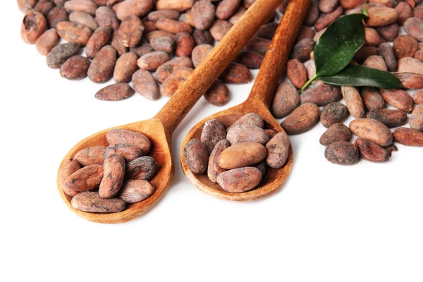 Fagioli di cacao in cucchiai di legno con foglie, isolati su bianco — Foto Stock