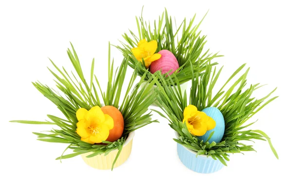 Easter eggs in bowls with grass on table isolated on white — Stock Photo, Image