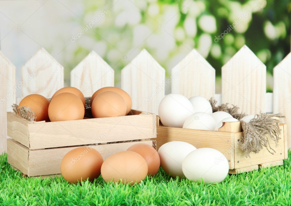 Many eggs in boxes on grass on bright background