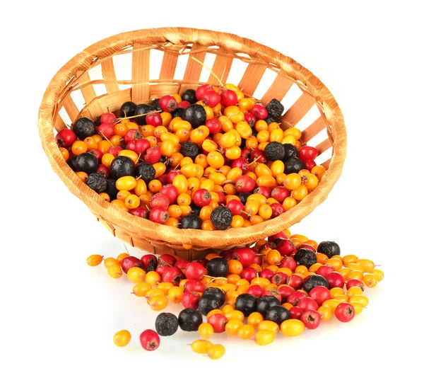 Bunte Herbstbeeren im Weidenkorb isoliert auf weiß — Stockfoto