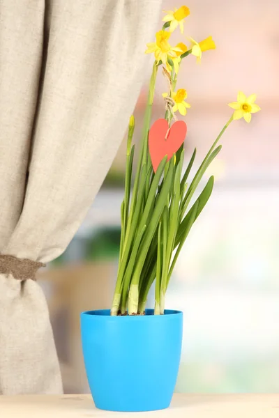 Bellissimi narcisi gialli in vaso da fiori sullo sfondo della finestra — Foto Stock