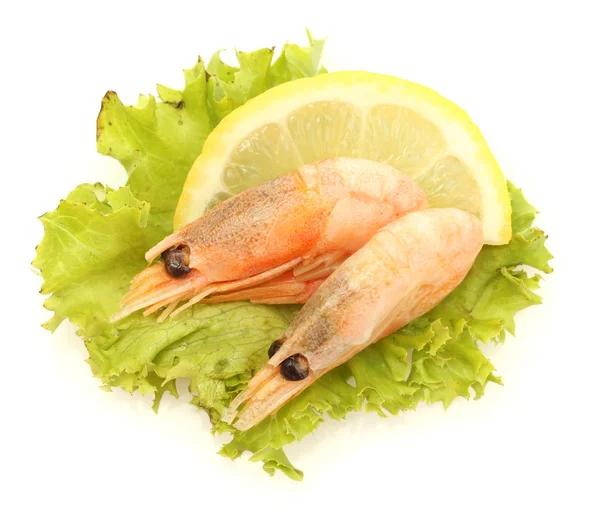 Camarones cocidos sobre hojas de lechuga con limón, aislados sobre blanco — Foto de Stock