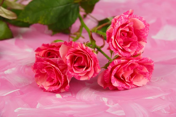 Bellissime rose rosa primo piano, su sfondo a colori — Foto Stock