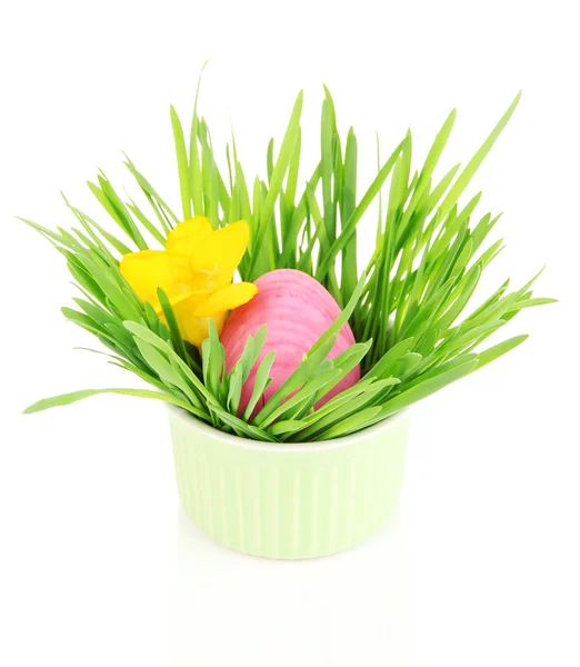 Uovo di Pasqua in ciotola con erba sul tavolo isolato su bianco — Foto Stock
