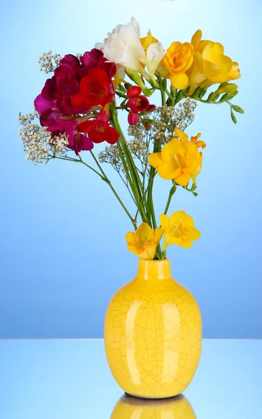 Krásnou kytici freesia v váza na modrém pozadí — Stock fotografie