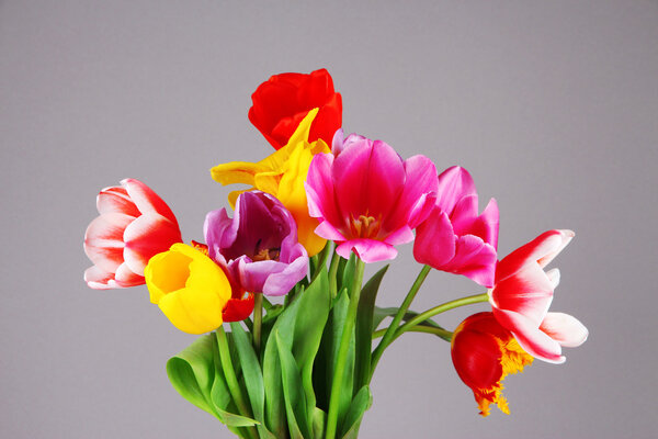 Красивые тюльпаны в букете на сером фоне
