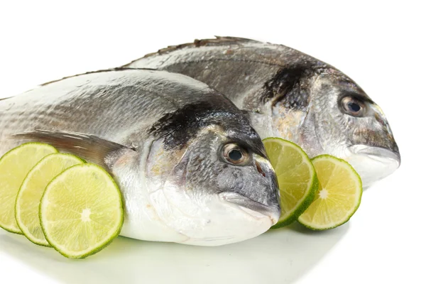 Dos pescados dorado con limón aislado sobre blanco — Foto de Stock