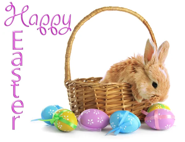Conejo foxy esponjoso en cesta con huevos de Pascua aislados en blanco —  Fotos de Stock