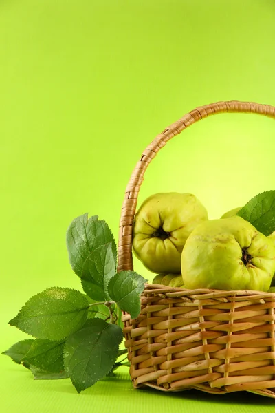 Sweet quinces with leaves in basket, on green background — Stock Photo, Image