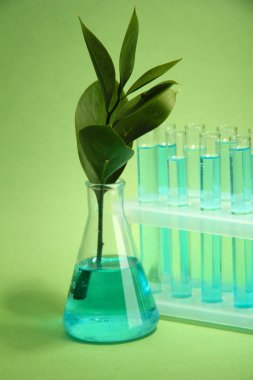 test tüpleri yeşil zemin üzerine yeşil yaprakları ile şube