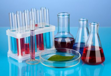 petri dish, renkli arka plan üzerinde test tüpleri ve yeşil yaprak test