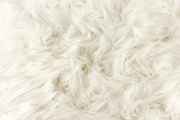 White fur texture, close-up.Useful as background — Stock Photo, Image