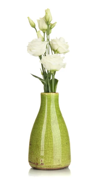 Bouquet of eustoma flowers in vase isolated on white — Stock Photo, Image